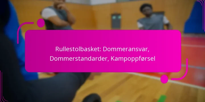 Rullestolbasket: Dommeransvar, Dommerstandarder, Kampoppførsel