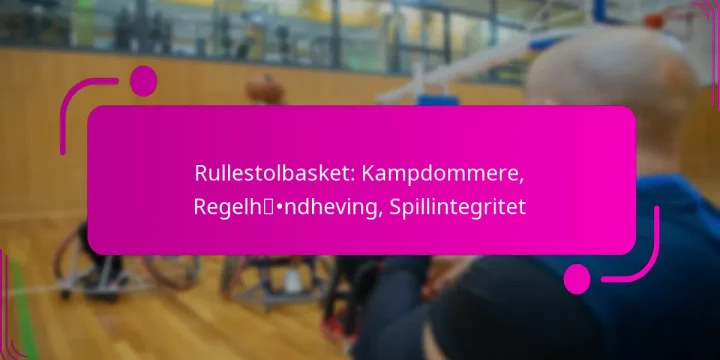 Rullestolbasket: Kampdommere, Regelhåndheving, Spillintegritet