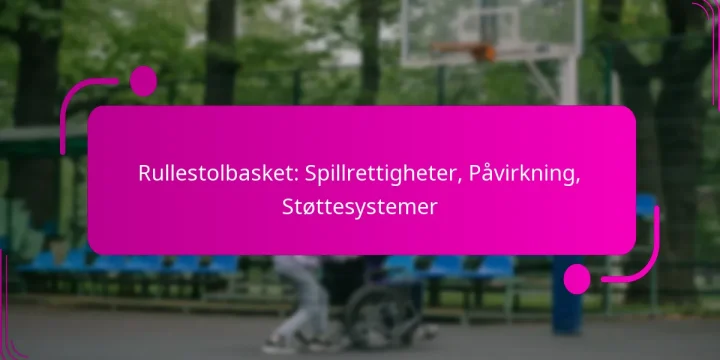 Rullestolbasket: Spillrettigheter, Påvirkning, Støttesystemer