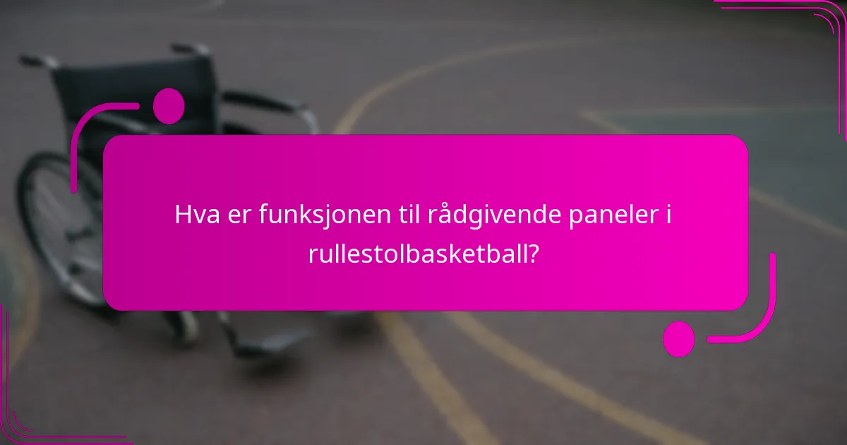Hva er funksjonen til rådgivende paneler i rullestolbasketball?