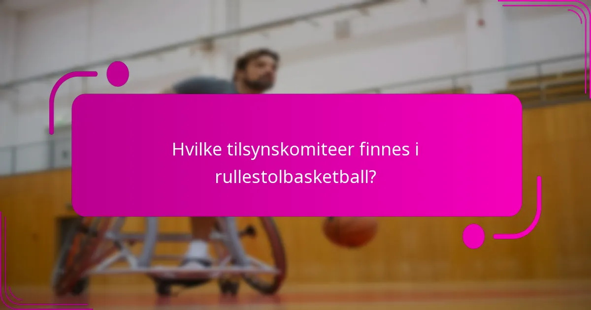 Hvilke tilsynskomiteer finnes i rullestolbasketball?