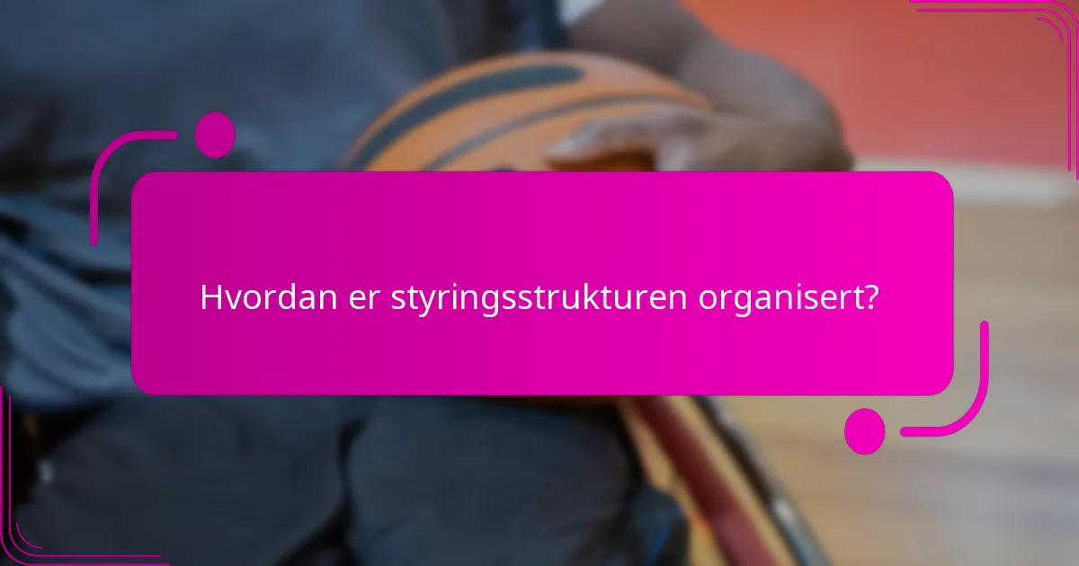Hvordan er styringsstrukturen organisert?